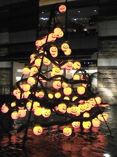 a0001668_23155375.jpg
