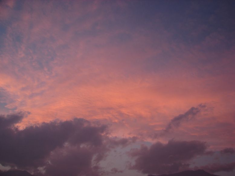 e0005887_17153080.jpg