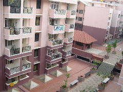 b0015293_2574227.jpg
