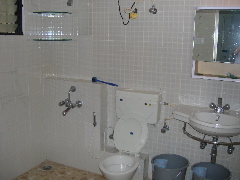 b0015293_258305.jpg