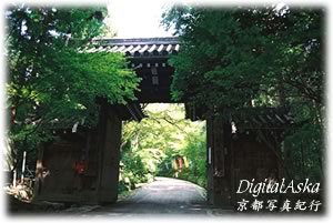 d0004296_2322971.jpg