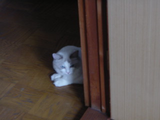 c0024410_17391521.jpg