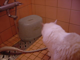 c0024410_17443598.jpg