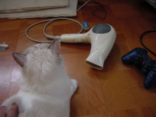 c0024410_17501490.jpg