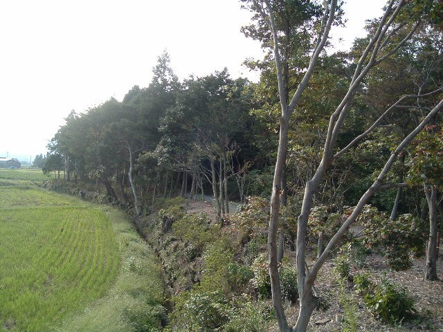 b0062214_1549314.jpg