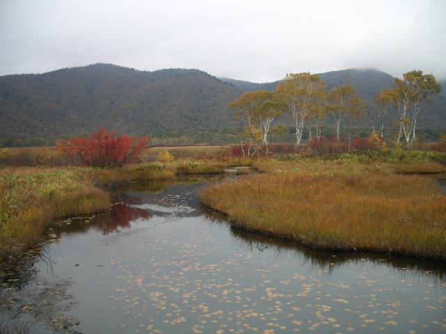 c0056218_22371532.jpg