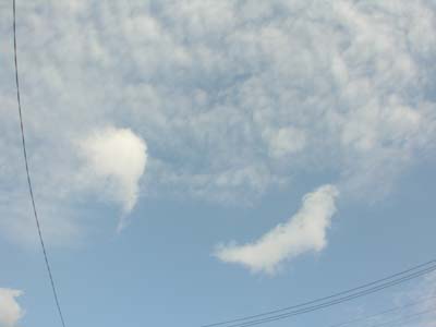 c0059521_1054511.jpg