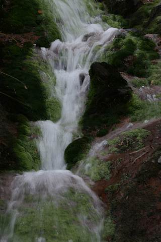 c0023929_0283359.jpg