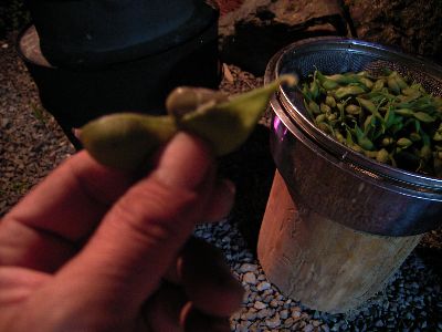 c0072843_6481276.jpg