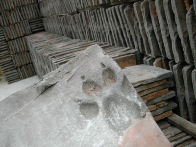 b0069848_65876.jpg