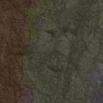 e0065748_1795624.jpg