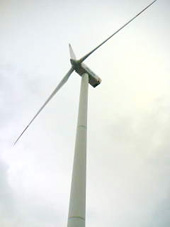 b0052149_13165763.jpg