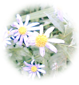 b0052149_13273566.jpg
