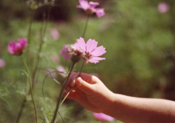 e0057853_032737.jpg