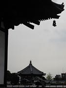 e0091161_2221493.jpg