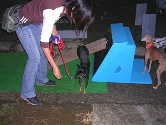 c0012571_14134186.jpg