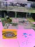 e0049877_061276.jpg