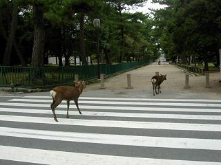 c0026178_2131949.jpg
