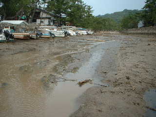 e0060485_14363549.jpg
