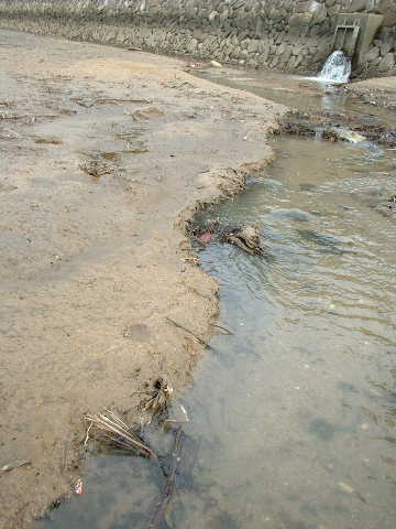 e0060485_14364484.jpg