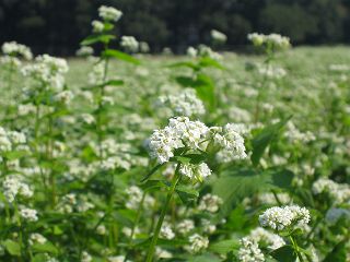 d0029087_2205050.jpg