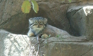 e0072091_2215111.jpg