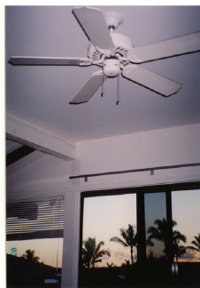 e0073791_1183636.jpg