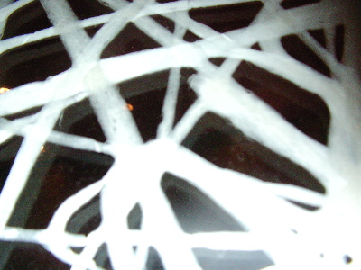 c0034396_2332054.jpg