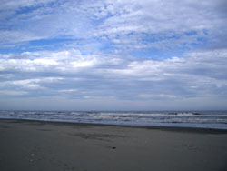 d0003996_20341321.jpg