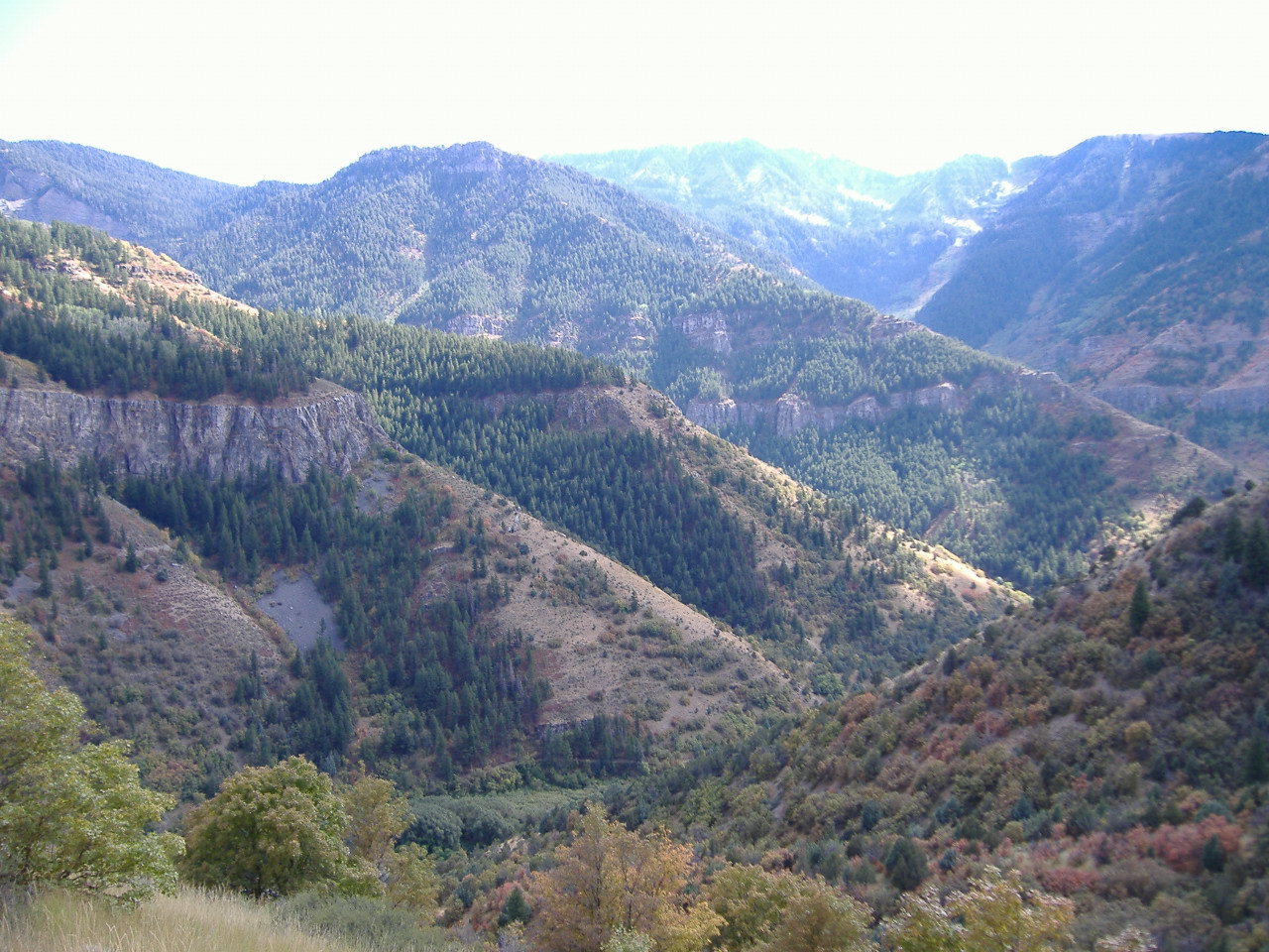 e0060302_8321029.jpg