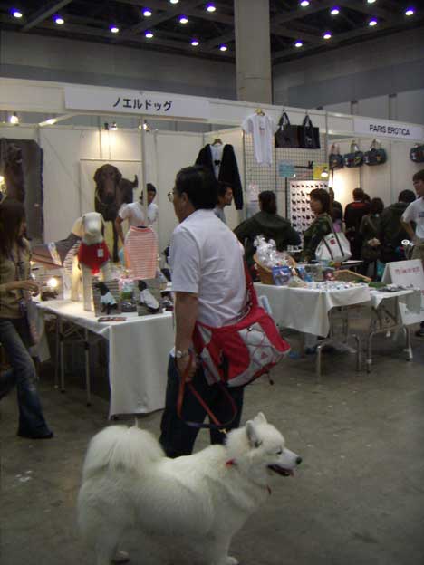 e0018604_15344428.jpg