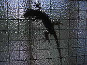 d0042618_23181313.jpg