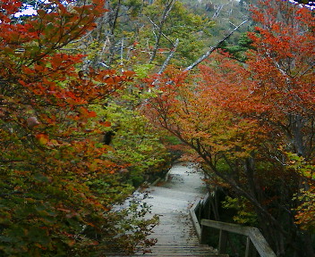 c0055123_20432841.jpg
