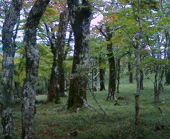 c0055123_2043534.jpg