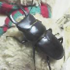 b0003224_2242113.jpg