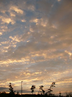 d0018131_23133968.jpg