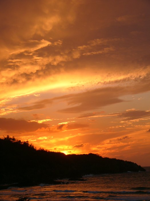 d0018131_2313645.jpg