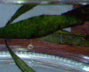 d0048332_14303511.jpg