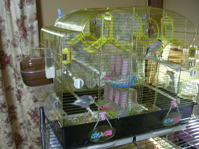 d0039036_1521019.jpg