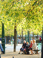 c0024345_526984.jpg