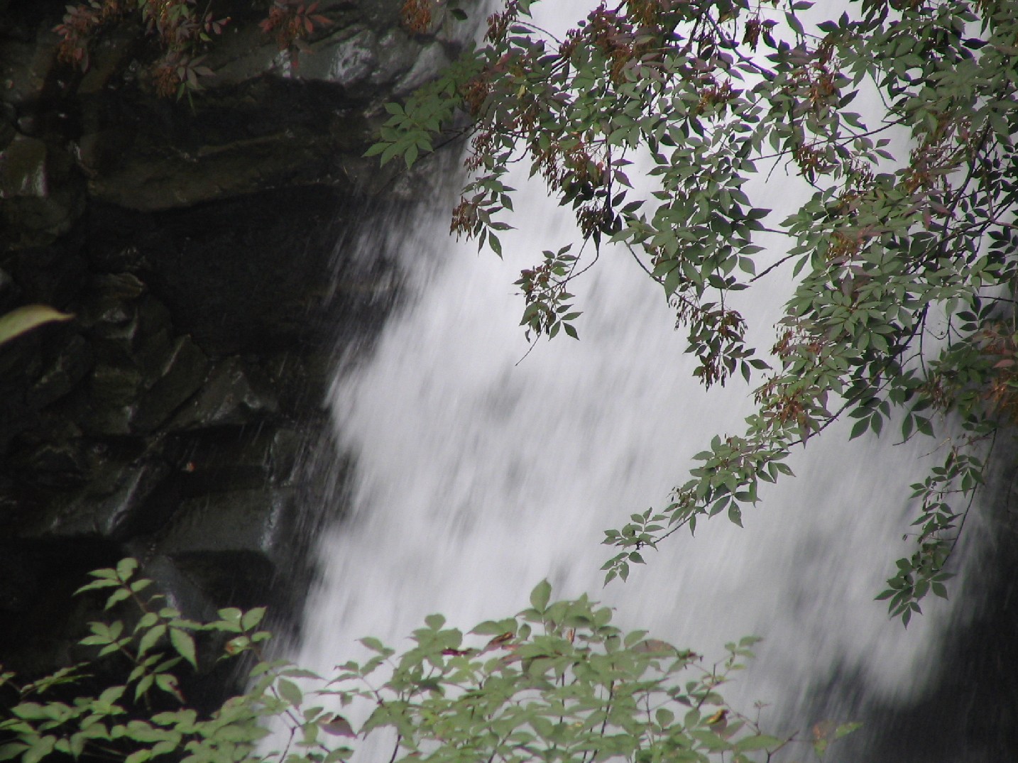 c0020059_1658334.jpg