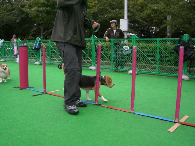 e0007060_2385697.jpg