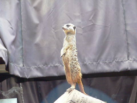 e0086860_230459.jpg