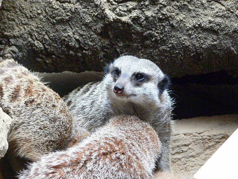 e0086860_2305124.jpg