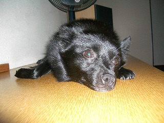 e0002466_15132077.jpg