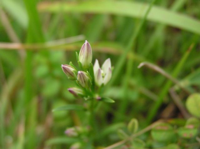 c0042869_21332114.jpg