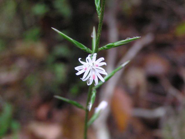 c0042869_2134128.jpg
