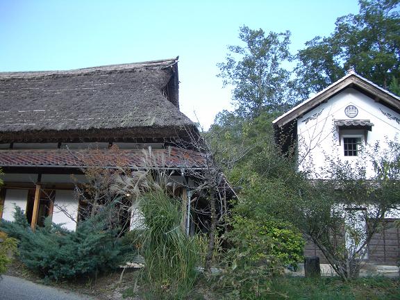 e0069481_1922259.jpg