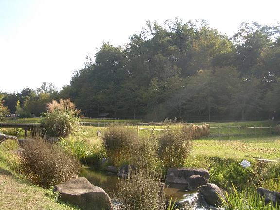 e0069481_19548100.jpg