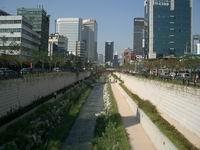 d0020282_1529223.jpg